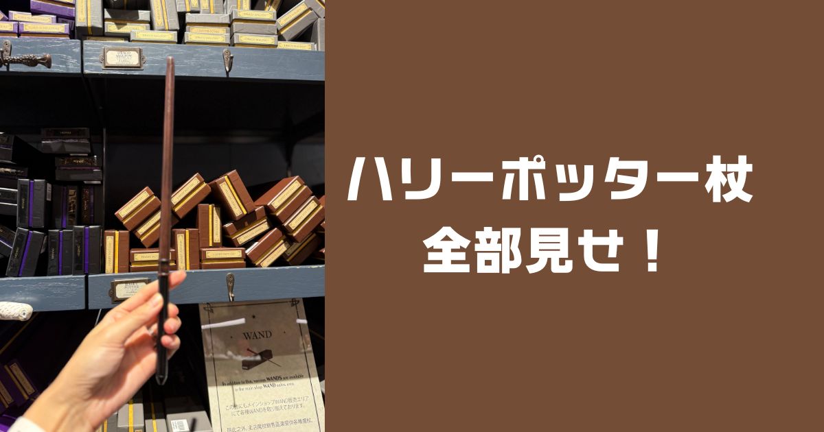ハリーポッター杖一覧2026最新！全種類を画像付きで全部見せ